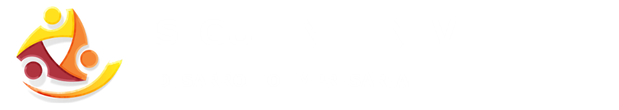 Siguiente Nivel Consultoría Empresarial